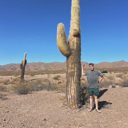 Standing beside a giant cactus in the desert